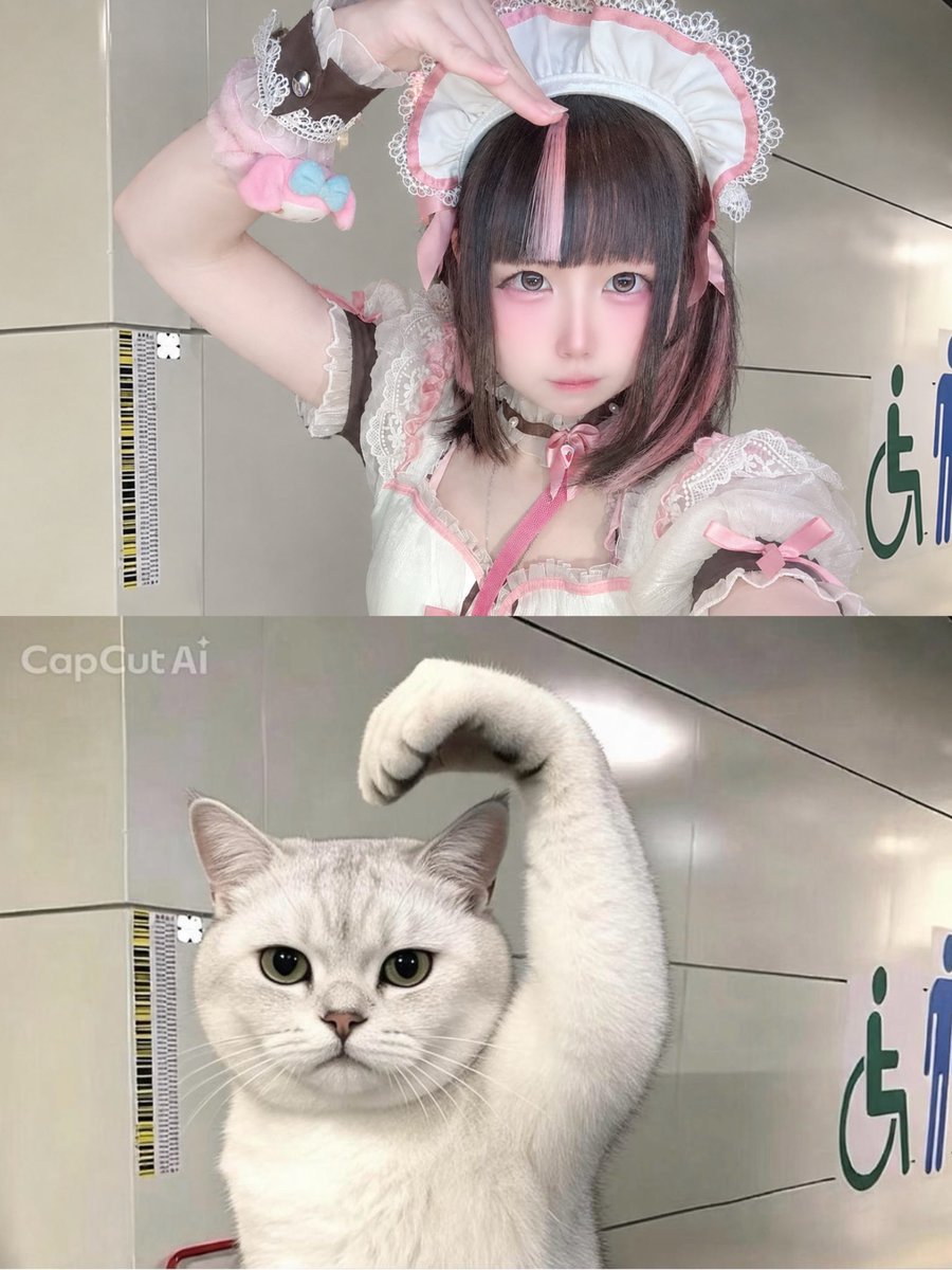 cmade_paru's tweet photo. にゃんこぱるさん🐈⸒

#コンカフェ https://t.co/IyBdalXU0F
