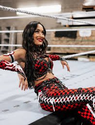 luvbriemode's tweet photo. Hello Bella Army, here role playing as Brie Bella. I am currently married to my Sweetface, I mean Bryan. Please feel free to drop into my DMs and Please keep it clean. Im happily married. https://t.co/28qHoVWJKH