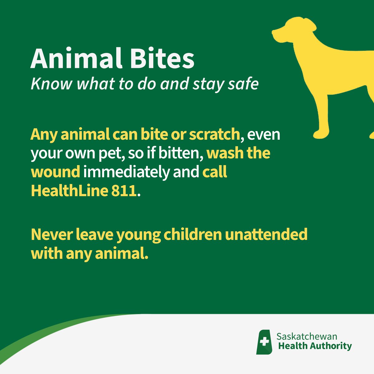 SaskHealth's tweet photo. Did you know all animal bites (from a wild animal or pet) should be reported? Call your local public health office or HealthLine 811 for more information. https://t.co/32ST2kHT67