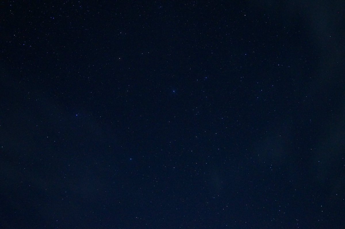 3kawainfo's tweet photo. 茶臼山高原には満天の星空がありました✨ https://t.co/l7Fa7dh2PB