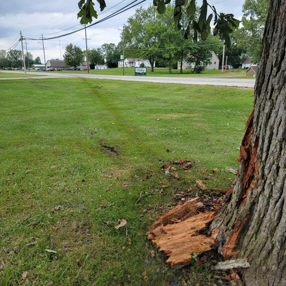 TheJoelClements's tweet photo. Local course almost added a new hazard today.
A car came off the road and absolutely smoked this tree just short of the clubhouse. The tree definitely saved the building from taking the hit. https://t.co/SQ1iz8cTXc