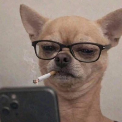 TsunamiLit's tweet photo. #NewProfilePic https://t.co/MRmgnFWnsn