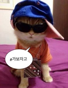 Msroom_maple's tweet photo. 마지막으로 진짜 가보겠습니다.... https://t.co/PJZnwt58Yl