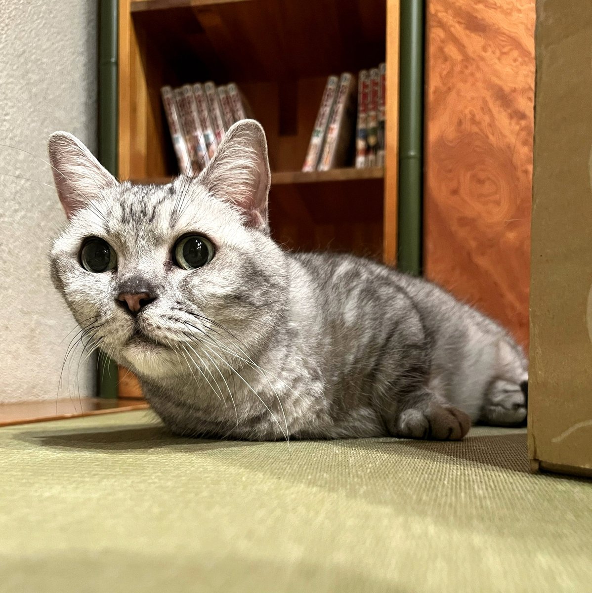 Lillyenes33's tweet photo. それにしても元カレの特技は元カノの神経を逆撫ですることなんですかってくらい徹底的に不正解を叩き出しててすごい、もはや正解の域 https://t.co/A7HEQroDvF