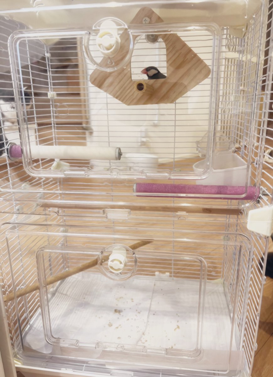 emily_drums's tweet photo. 中のレイアウト変更した！
小屋つけた！

明日は仕事いつもより1時間も早いので早く寝よ寝よ！ https://t.co/6zQXSJ1Mv7