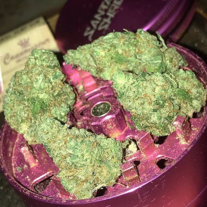 grossie65230's tweet photo. Commander de la beuh,hash,shit,coke uniquement via mon 🇫🇷 🇫🇷
Signal//weedcake1.62
Snapchat// divissurich
#Bridel #Lamadelaine #Helmsange
#Alzingen #Fentange #Itzig #Rollingen
#Vianden #Vianden #Eischen #Gonderange #Hautcharage #Heisdorf
#Canach https://t.co/wgJQzavpEQ