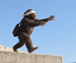 blutogreg's tweet photo. seen a lot of people blindly ape coins today

got something good for those people

going to launch blindape with no thesis and pairing it with ZEC

dont even need to think for this play just simply blind ape https://t.co/A9oAQrW20v
