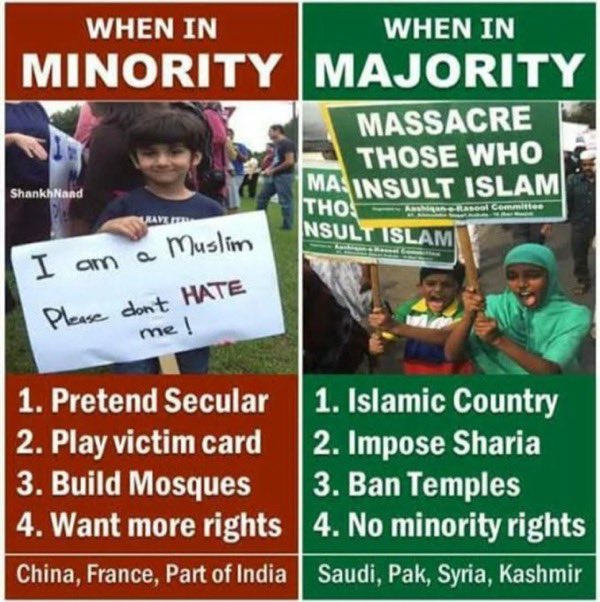 Toekijken's tweet photo. Wilders stuurde islamiet en antisemiet Van Baarle terecht het donkere bos in. Waar haalt dat stuk verdriet Van Baarle van @DenkNL het lef vandaan om Wilders die 25 jaar geen vrijheid kent door moslimterreur te bekritiseren. Islam is duivels en past bij minderheid de #taqiyya toe. https://t.co/C8YaCXDU4b