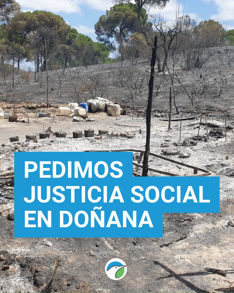 DONANA_SEO's tweet photo. Cuando pensamos en Doñana solemos pensar en biodiversidad y conservación.
Pero miles de personas trabajadoras del sector agrícola siguen viviendo en asentamientos precarios junto a uno de los espacios naturales más valiosos de Europa. https://t.co/8KvFPKyfWl