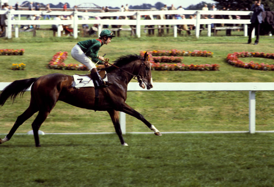 PamRecruit's tweet photo. September 16, 1952 birthday #MickeyRourke who starred in #Shergar w/ #IanHolm & #BillyBoylea 1999#biographical #Truestory of a #champion #Irish #thoroughbred #racehorse that mysteriously disappears #awardwinning #picturebook #horse https://t.co/H065BbGOox https://t.co/p3kTVuM0uh