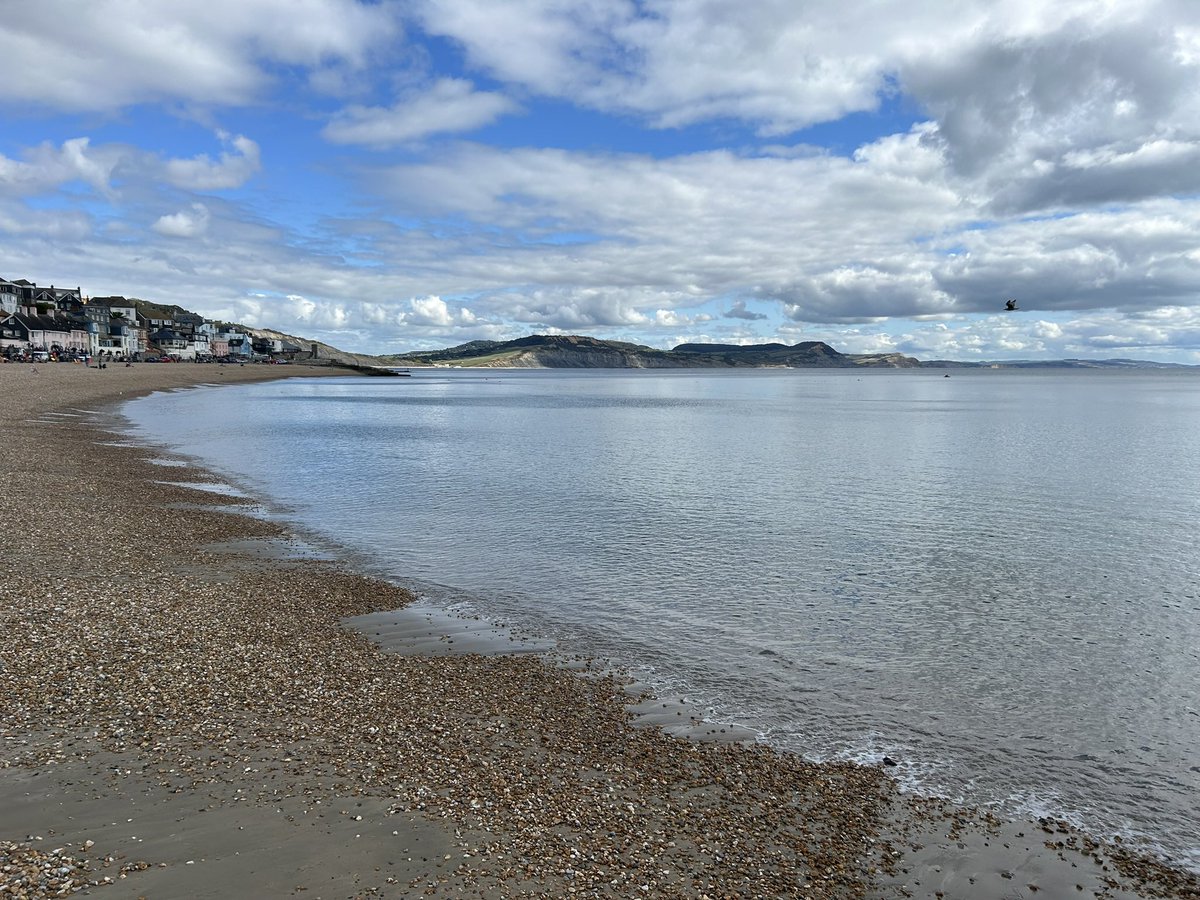 zoeapatrick's tweet photo. Beautiful sunny September afternoon at the seaside #LymeRegis #sunshine #swimming 🏊‍♀️☀️🌊 https://t.co/CEPYfwptF6