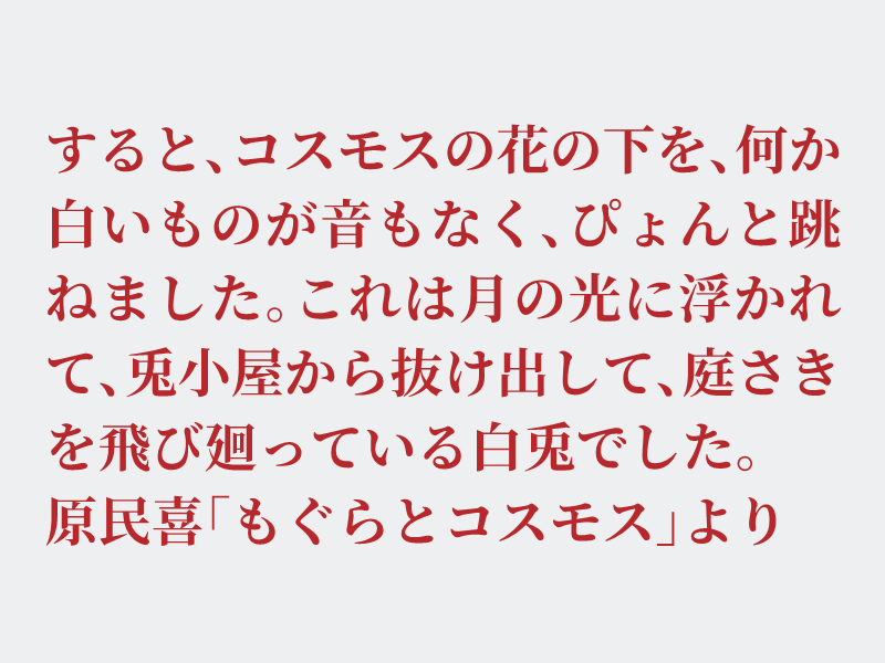 img_shosha's tweet photo. No.1667 原民喜「もぐらとコスモス」より #空想書写
最近、オレンジ色のコスモスをよく見かけます。不思議とオレンジ色だと夏っぽいなと思ってしまいます。コスモス自体は秋のイメージですので、なんとも不思議な感じです。とても可愛いのでよく目にとまります。それでは、どうぞ。 https://t.co/gArr209qHt