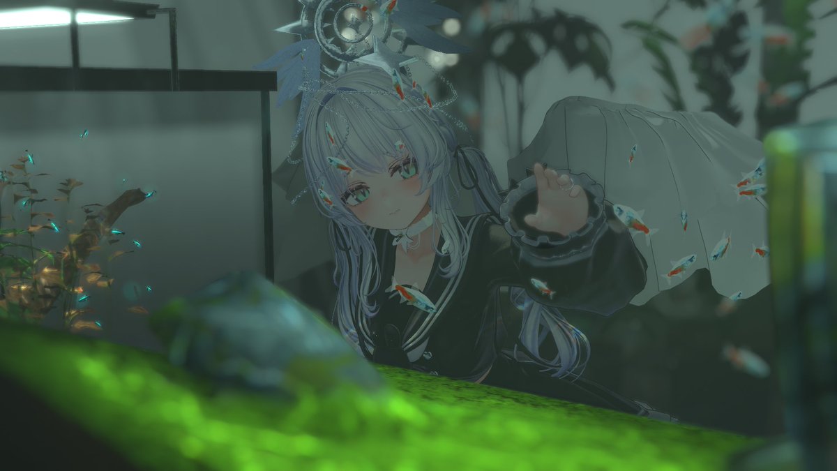 Luuie14's tweet photo. ちょっとだけ写真撮りに行ってきた https://t.co/fmuTI5jOvo