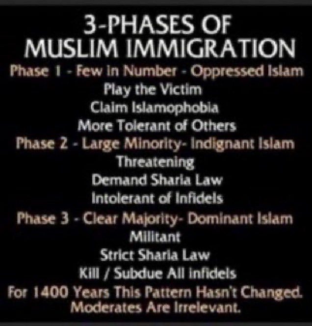 Toekijken's tweet photo. Van Baarle van #Denk is een gevaarlijke islamiet en antisemiet. Islam is uit op wereldoverheersing door gebruik te maken van taqiyya, angstzaaien en illegale immigratie. #debat https://t.co/Y9Z7xmbcP8