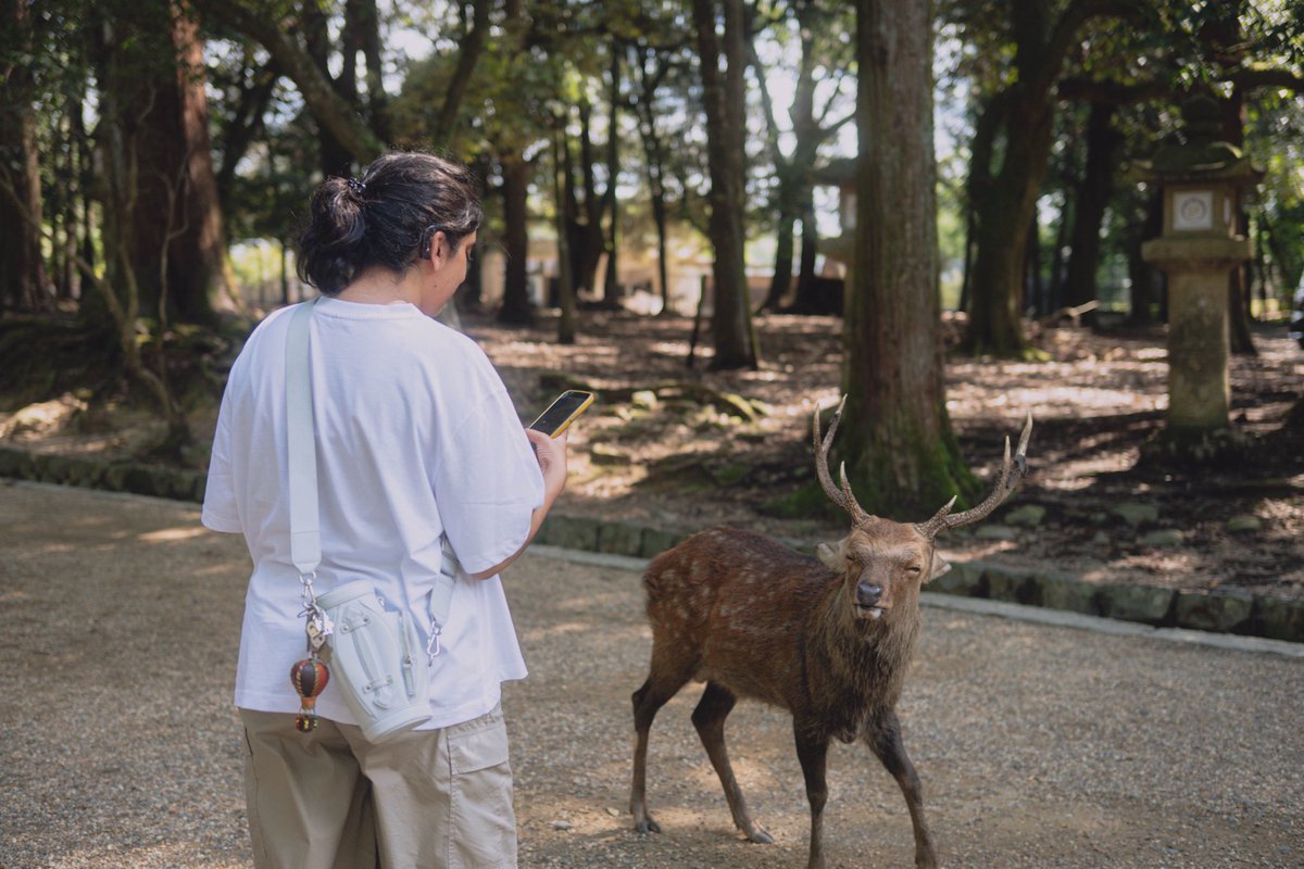 ktskts_films's tweet photo. Nara,Japan,Nikon https://t.co/lgFjTjSeCc