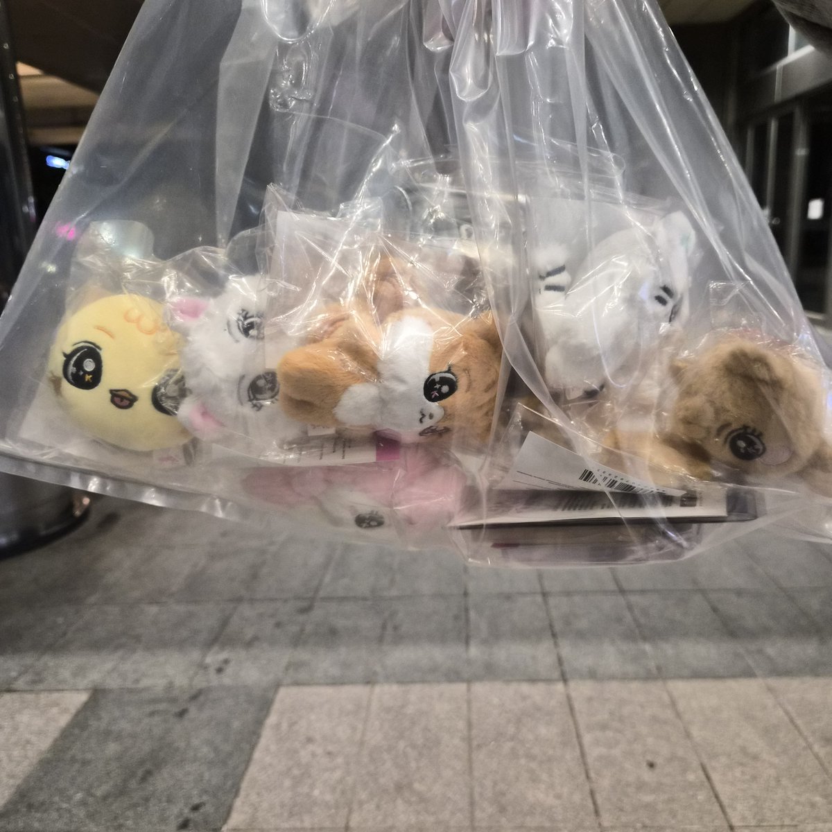 ChirOooo_'s tweet photo. 우리 케플이 무리얌💕 너무 귀여워🥹 #Kep1er #케플러 #Kep1e #케플이 #Kep1e_POPUP https://t.co/8SJFsirCWG