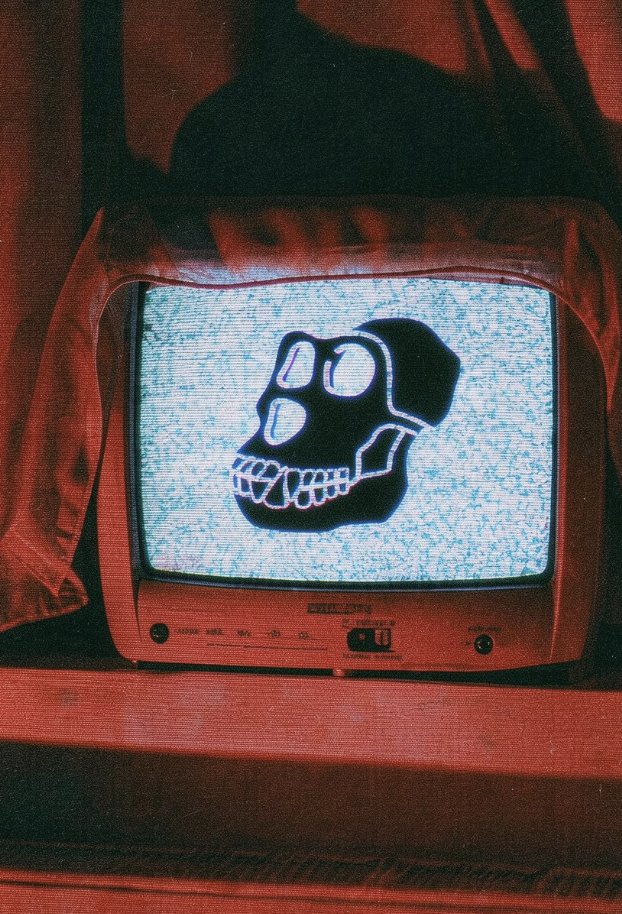BoredApeYC's tweet photo. Tune TF in https://t.co/xYVMoibHVS