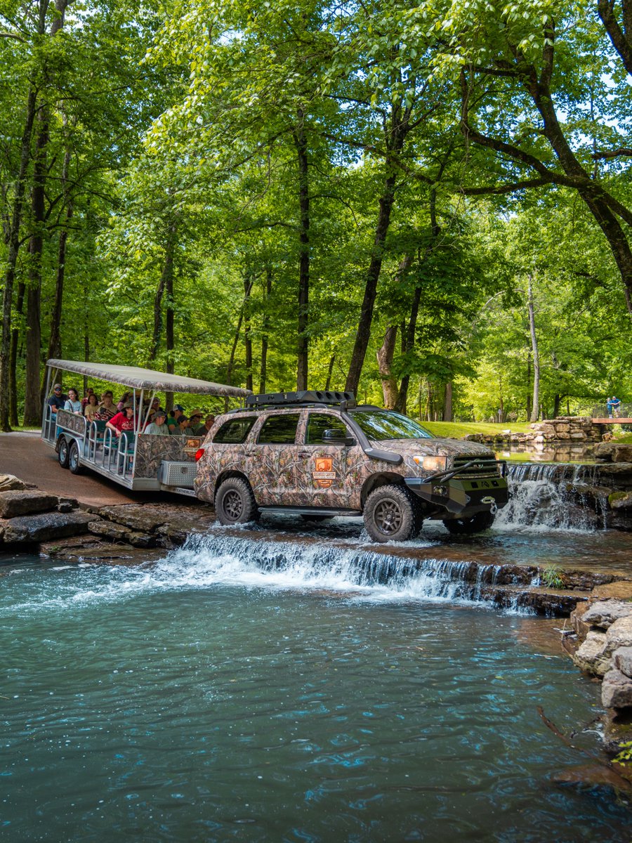 VisitMO's tweet photo. If kids plan the trip, prepare to go wild. 🦒 Soar above the African Savanna at the Kansas City Zoo &amp; Aquarium, go on a wildlife tour at Dogwood Canyon, explore Forest Park or feed Giraffes at Wild Animal Safari. Explore more family activities here: https://t.co/I2HVypNLK7

— Mo https://t.co/YAKhJzXuc8