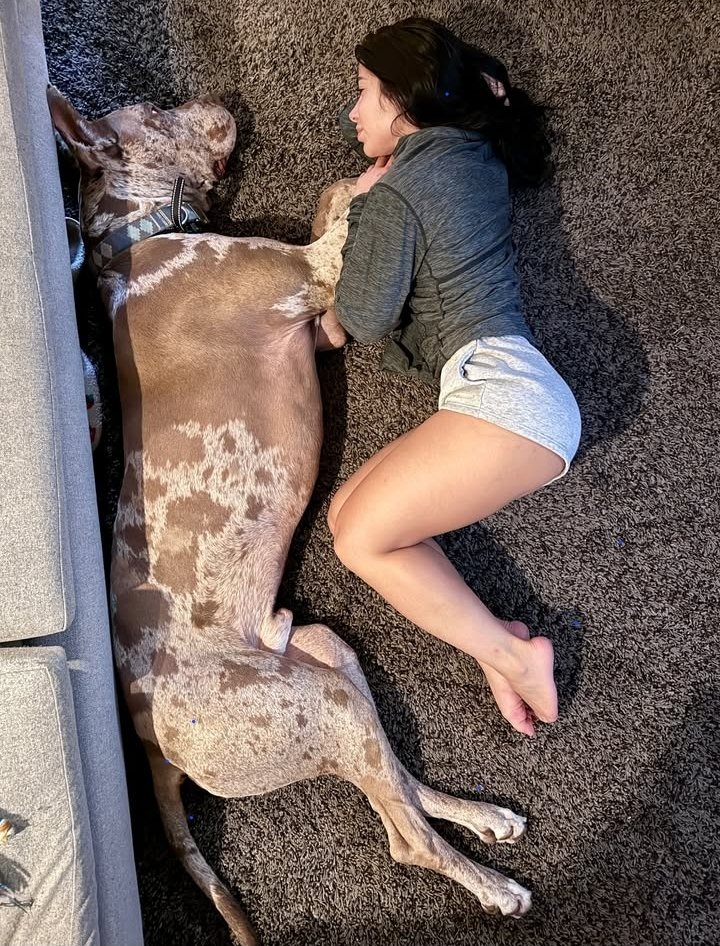 knottygirl441's tweet photo. I was knotted so damm good 😜💦... Watch out for hot clips 📹 

https://t.co/JWvY6Sfdm7

#zoophilia #bestiality #doglover #dogknotting  #dogpill #dog #dogwoman  #dogwhore #artofzoo
 #doggystyle #moaning #freak #orgasm #cum https://t.co/v4JYrwZdiT