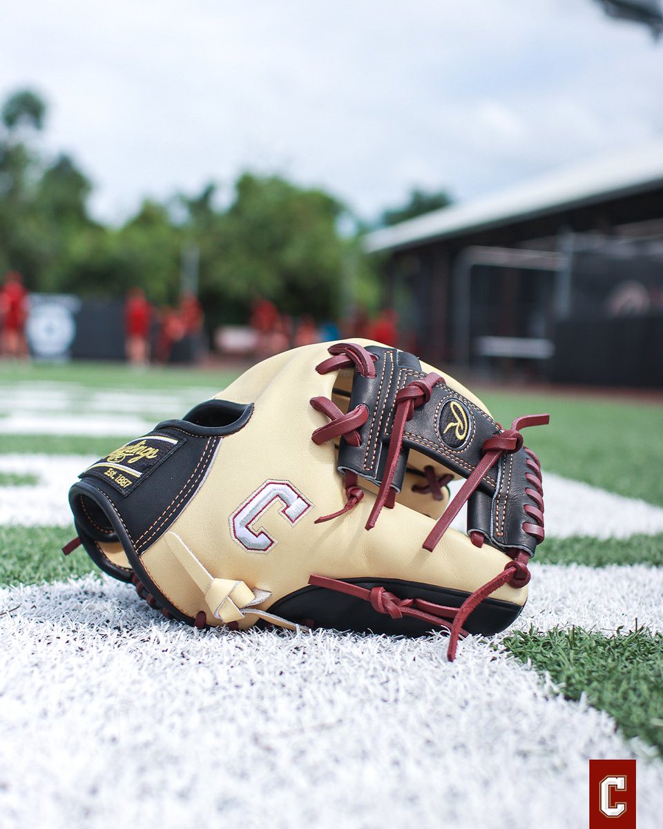 CofCBaseball's tweet photo. 😮‍💨

#TheCollege 🌴⚾️ https://t.co/mFwUXXc7kv