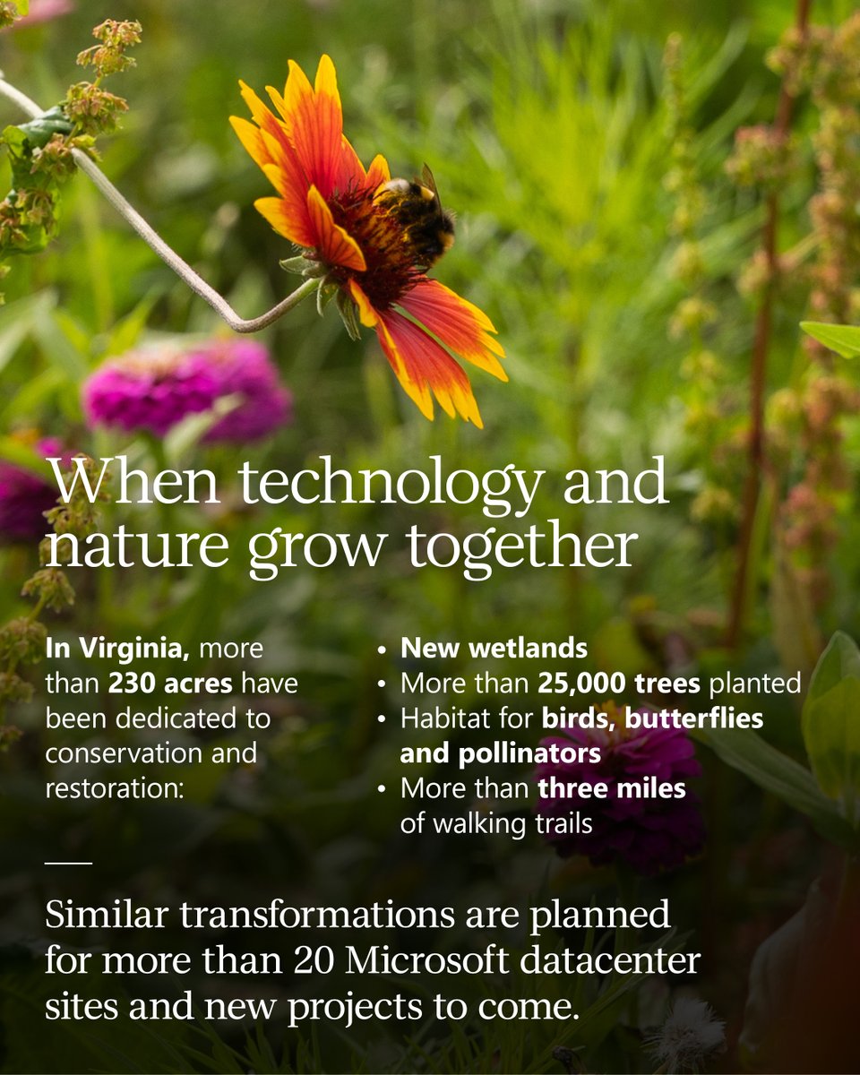MSFTnews tweet picture
