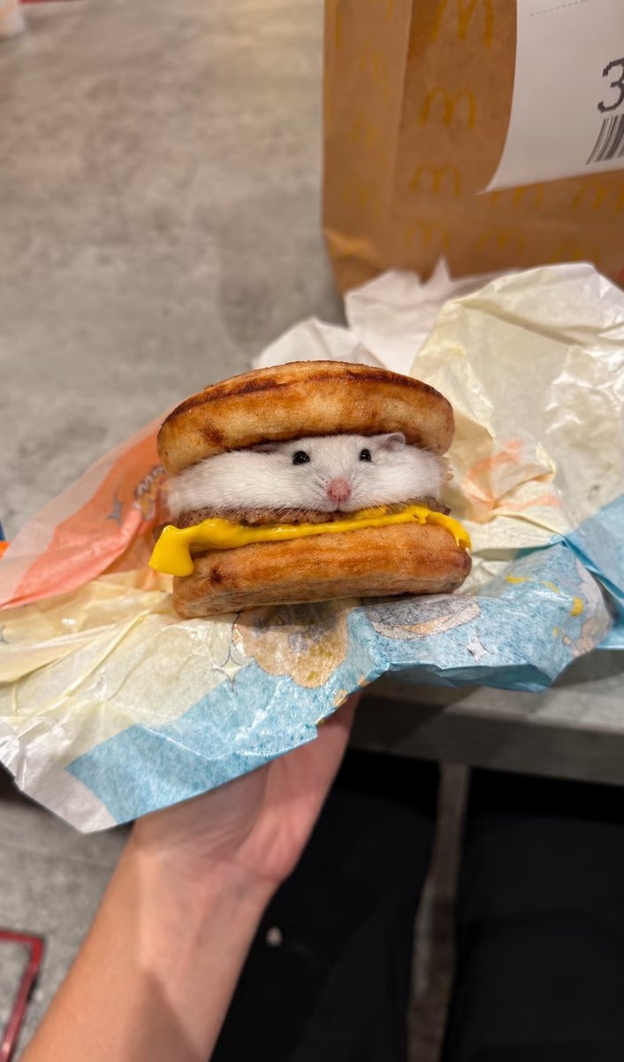TweetsOfHamster's tweet photo. Finally got to try the real Hamster Cake https://t.co/d8qpQHOMKI