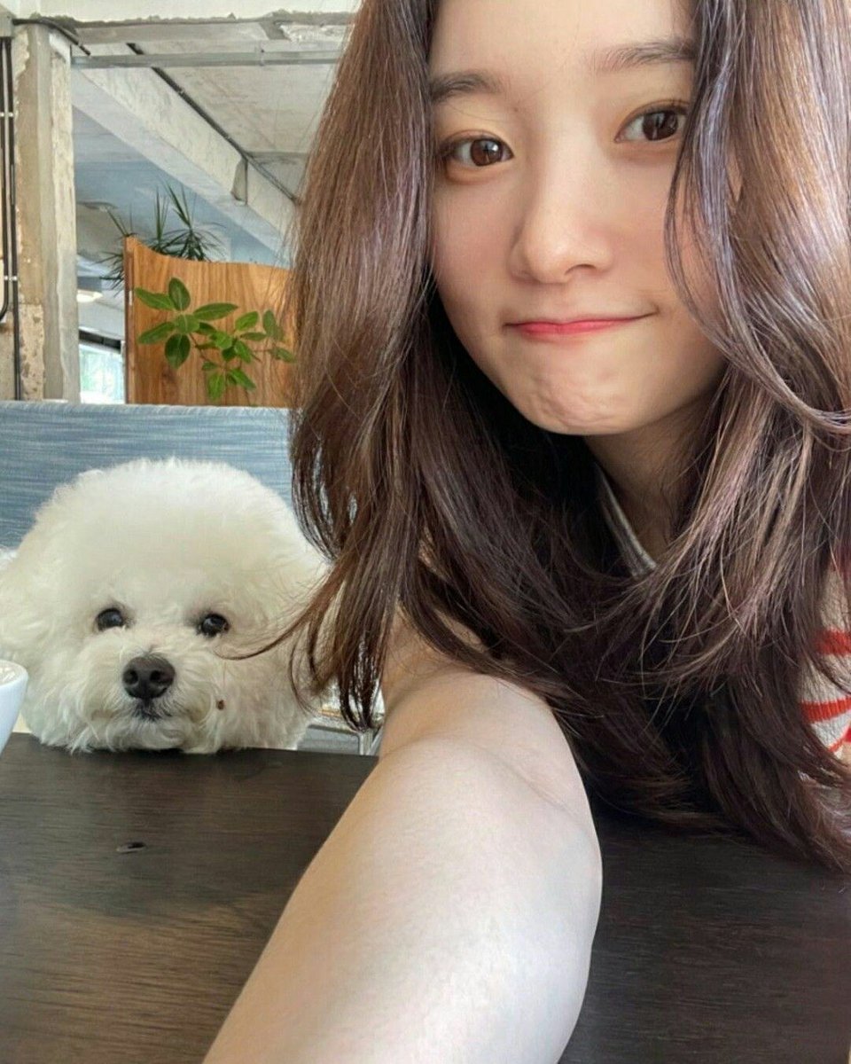 mitgyuu tweet picture