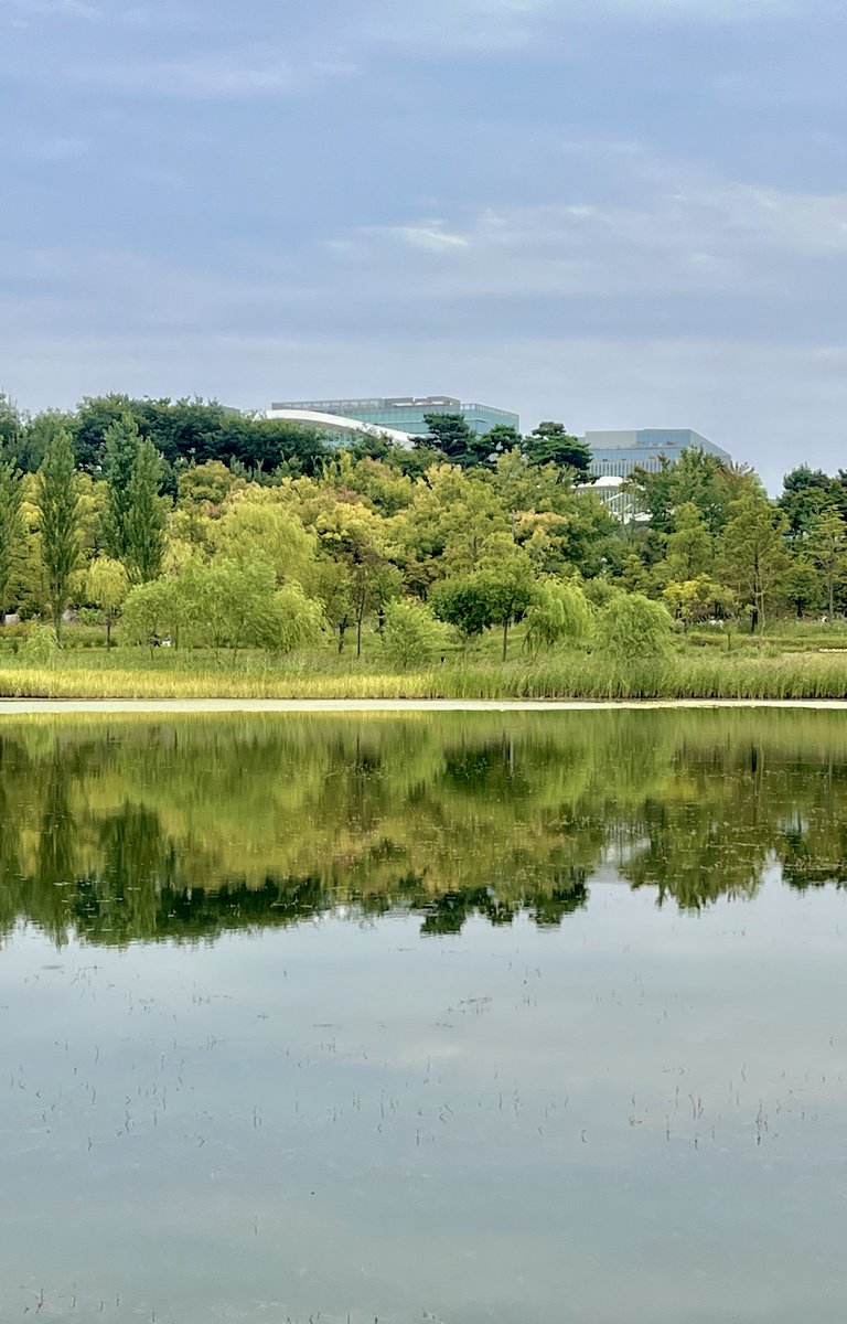 wwwmylifecom's tweet photo. 한강말고 조금 색다른 곳에서 피크닉 즐기고 싶다면 
서울식물원으로...🪷 유료인 내부도 볼거리 많지만 호수공원이랑 야외들판은 무료개방인데 조경 예쁘고 엄청 넓어서 사람들 야구랑 캐치볼도 하고 피크닉 지상낙원 열려있다 https://t.co/De01852IqD