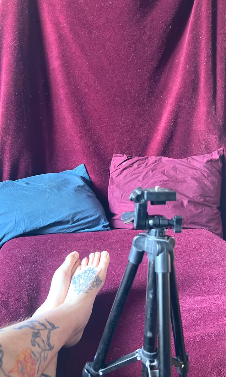 Leochrysalide's tweet photo. En plus j’ai mis en place un beau setup 😈
(Si on ne regarde pas les poils de chats mdr) https://t.co/4nlStMyYzW