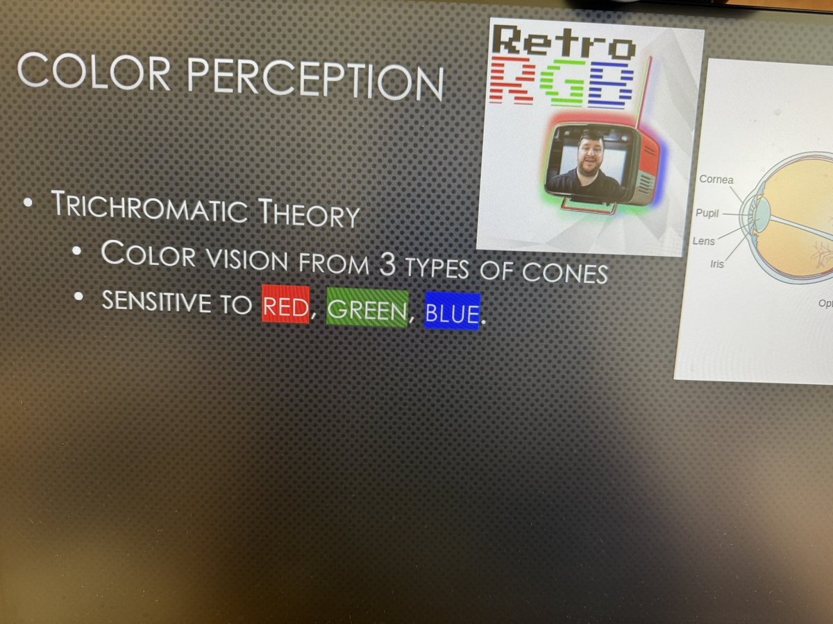 NES_Professor tweet picture