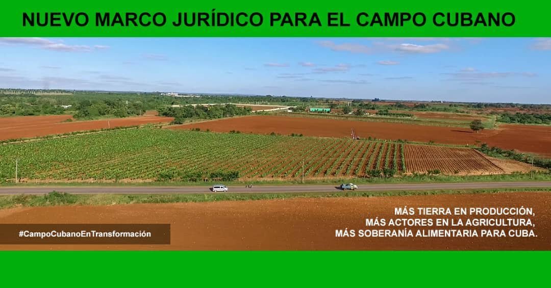 MinagCuba's tweet photo. En la implementación de las transformaciones en la Agricultura. Se garantiza la salud y el bienestar animal con las normas actualizadas que protegen la producción pecuaria y su vínculo con el hombre. #CubaProduce #CampoCubanoEnTransformación @MinagCuba https://t.co/BWyzelU0CP