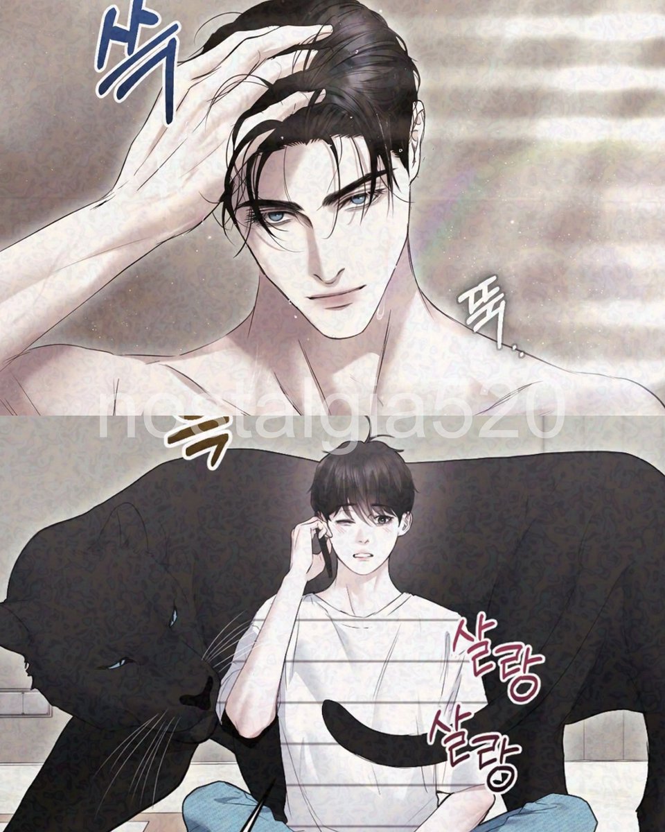 nostalgia520's tweet photo. สุดจะทนกับคนคนนี้ หลิวเว่ยคุน อายุ 32 ปี สูง 193 ซม. เป็นโกลเด้นอัลฟ่า แม้แต่ในร่างแมวยักษ์สีดำยังชอบมาแกล้งยัยน้องเพชร มาเลียๆ เอาจมูกอ้วนมาดุนๆอยู่ได้ ให้น้องอาบน้ำแปรงขนให้ยังไม่พอ มากินจุ้บจิ้บน้องด้วย ชิงสุกก่อนห่ามน้องด้วย แม่ไม่โอเคร แต่หล่อจังง้าฟ https://t.co/lAyDKc7G4V