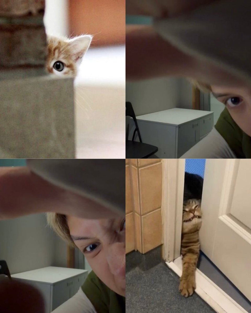 jamesapplejuice's tweet photo. how can u not say cat https://t.co/kMv0zxgrxe