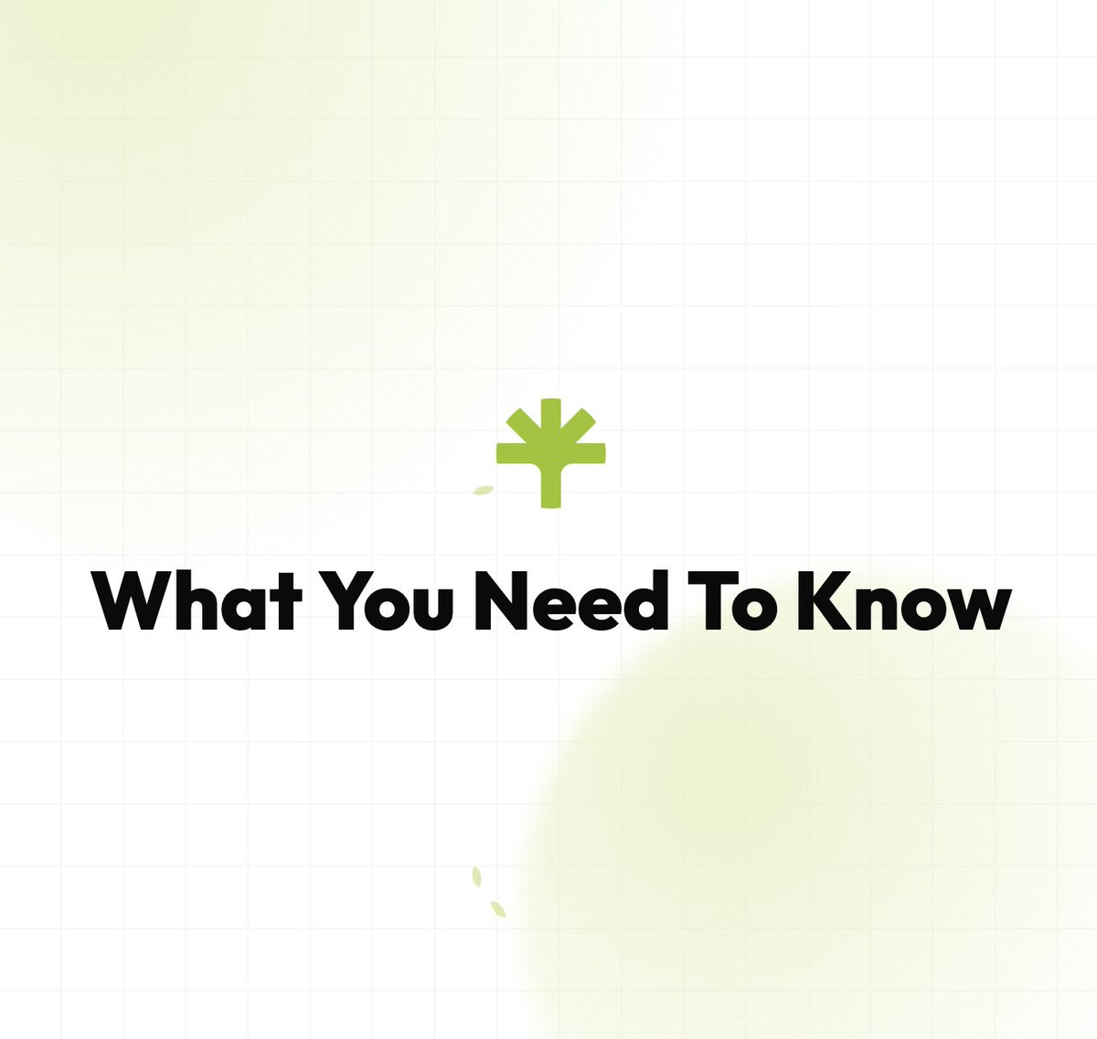 TreevolutionSOL's tweet photo. The $TREE token drops this Sunday

Here's what you need to know:

- Interactive, every trade affects the Tree
- Holders are rewarded simply for holding
- Chat with other holders directly through the website
- Hold for a longer time = More $TREE rewards

🌳 https://t.co/1rcUTmMz6P