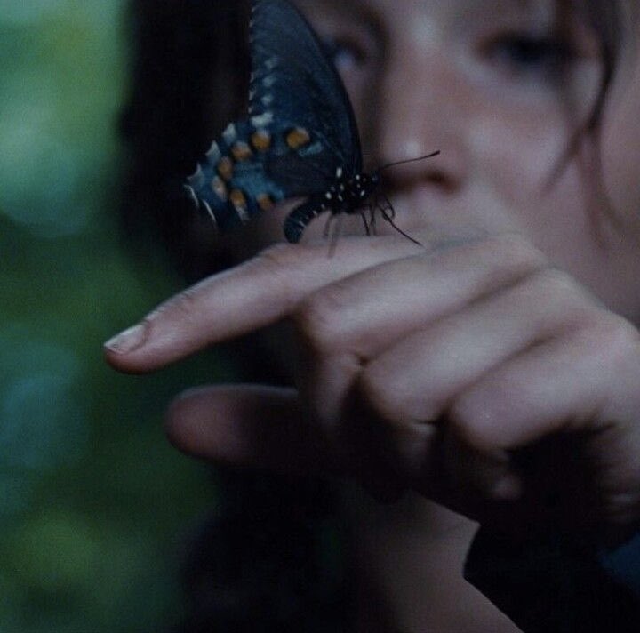 sp1derg1rl's tweet photo. you know he panicked when he saw that butterfly land on katniss https://t.co/UragogQpWw