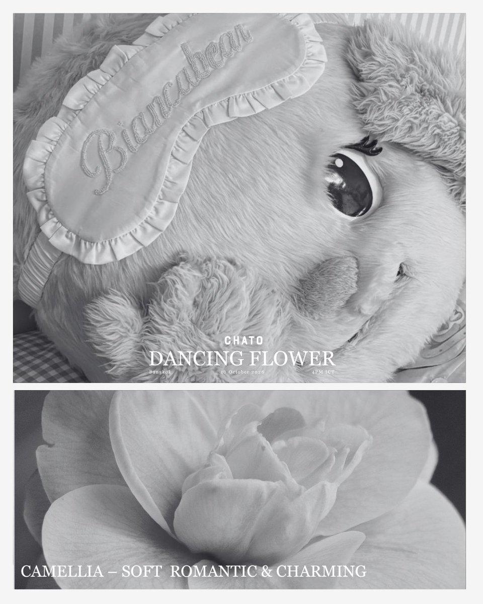 chato_studio's tweet photo. ชวนแม่ ๆ @biancabearth  🎀🧸 มาพบกันที่ CHATO DANCING FLOWER — BIFW 2026
เตรียมพบกับโมเมนต์สุดพิเศษ พร้อมสิทธิ์ 1:1 Photo กับ Biancabear สำหรับแฟน ๆ แบบ Exclusive

สิทธิพิเศษสำหรับสมาชิก CHATO
18–30 ก.ย. 2026 (จนกว่าบัตรจะหมด)

ช้อปสินค้า CHATO หรือ CHATO E-VOUCHERS ผ่าน LINE SHOPPING และสะสมคะแนนเพื่อรับสิทธิพิเศษในการเข้าชมรันเว���์

ช้อปครบ 10,000 บาท รับ 5 คะแนน
แลกรับที่นั่ง แถว 5–6 (จำกัด 100 ที่นั่ง)

ช้อปครบ 20,000 บาท รับ 10 คะแนน
แลกรับที่นั่ง แถว 4 (จำกัด 50 ที่นั่ง)

พร้อมรับ CHATO EXCLUSIVE GIFT BAG เมื่อรับบัตรเข้าชมแฟชั่นโชว์

— สิทธิ์ Lucky Fan พร้อม BIANCABEAR
— @BIANCABEAR 1:1 Photo (10 สิทธิ์)
— โอกาสได้รับ Private Styling Session กับ CHATO (K’MAY)
— สิทธิ์เข้าชมและเลือกซื้อคอลเลกชันก่อนใคร Limited Resee

มูลค่ารวมกว่า 25,000 บาท

มาก่อนได้ก่อน | สิทธิ์มีจำนวนจำกัด
ยืนยันสิทธิ์��่าน

CHATO LINE Official Account @CHATOSTUDIO
เป็นไปตามข้อกำหนดและเงื่อนไข

#CHATOStudio #CHATODancingFlower #BIFW2026 #ChatoBIFW2026xBiancabear #BangkokInternationalFashionWeek 
#Biancabear #เบียงก้า