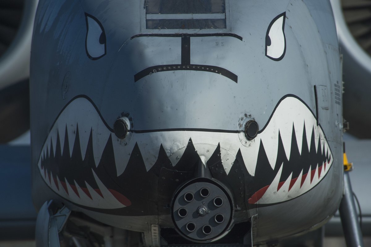 kchawg987's tweet photo. Happy #WarthogWednesday . . . ATTACK! https://t.co/9oYjhT4Kyr