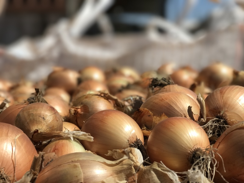 REVISTAFYH's tweet photo. #Torribas refuerza su producción nacional con la finca gaditana #ElTractor
La compañía amplía su presencia al valle del #Guadalquivir e incorpora nuevos cultivos como el #boniato y la #zanahoria, reforzando la capacidad de suministro durante todo el año.
https://t.co/gZ8fRqwsyT https://t.co/6ZPtwUG3Oo