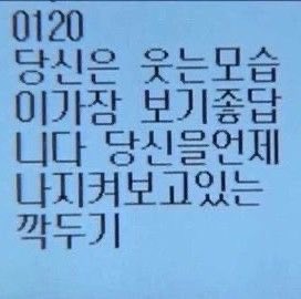 nars2hz's tweet photo. 당신을언제나지켜보고있는깍두기 https://t.co/dCJQwniwO5