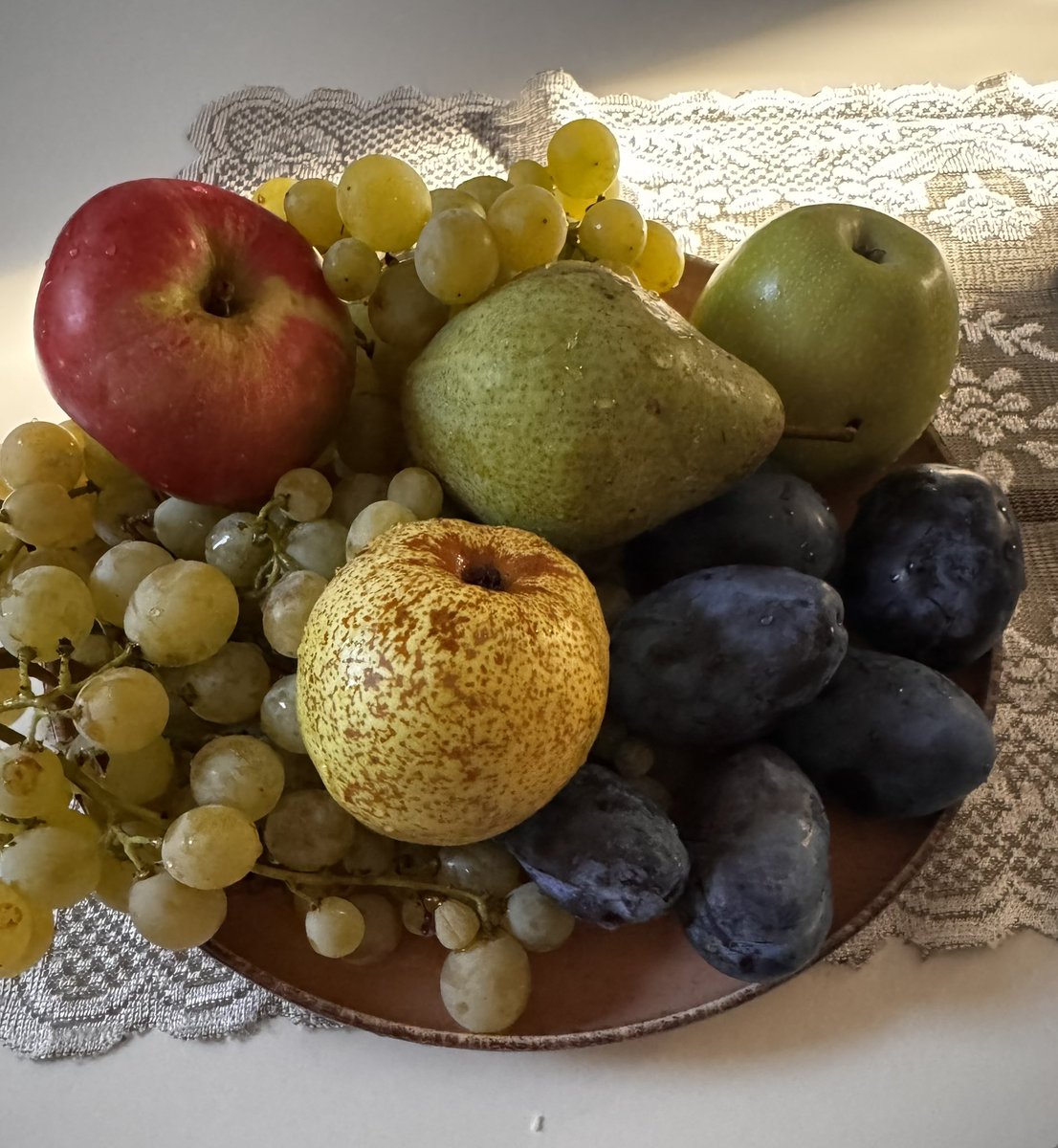 Mirsamita's tweet photo. Ovo sve iz moje bašte… sve ovo ja uzgojila 😊 https://t.co/OJXYrlQups