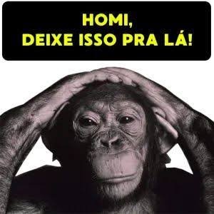 jeyviam_'s tweet photo. juro q se eu ver mais alguma outra coisa sobre o stf eu fico doido da cabeça https://t.co/9UqnNKAQwh
