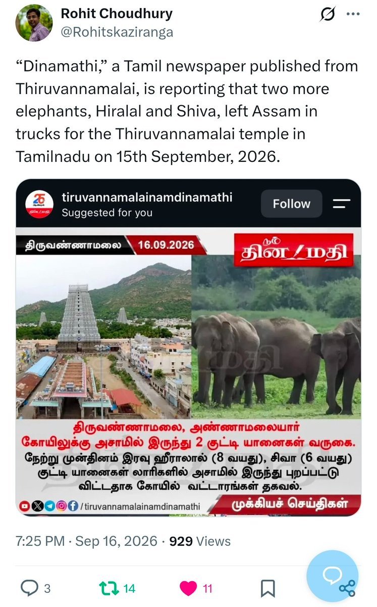 MaleficentLady's tweet photo. Absolutely horrible update: two more of the five total elephants were transferred from Manas National Park, Assam state, India to Tamil Nadu state to live in concrete cells in temples πππ
"Hiralal and Shiva, left Assam in trucks for the Thiruvannamalai temple in Tamilnadu on 15th September, 2026."
SHAME ASSAM FOR SELLING THE ELEPHANTS, AND SHAME TAMIL NADU FOR BUYING THEM! Repugnant! I hope no one visits your wretched elephant torturing temples!
Is boycotting temples a thing? Then boycott the Thiruvannamalai Temple where these elephants were taken!
@himantabiswa @assamforest @BJP4Assam @TVKVijayHQ @CMOfficeAssam @CMOTamilnadu you guys are loathsome!
Link to post with the update on the elephant transfers here:
πππππππ
https://t.co/ZILcsJhLzb
πππππππππ
#freetempleelephants #savemadhuri #bantempleelephants #freemadhuri #savemadhuritheelphant #freemadhuritheelephant #indianelephant #elephants #elephant #savedurga #savedurgatheelephant #freedurga #India #freedurgatheelephant #Maharashtra #Assam #TamilNadu #Vantara #Ambani #Ambanis #Reliance #Jio #Gujarat #BRICS #QUAD