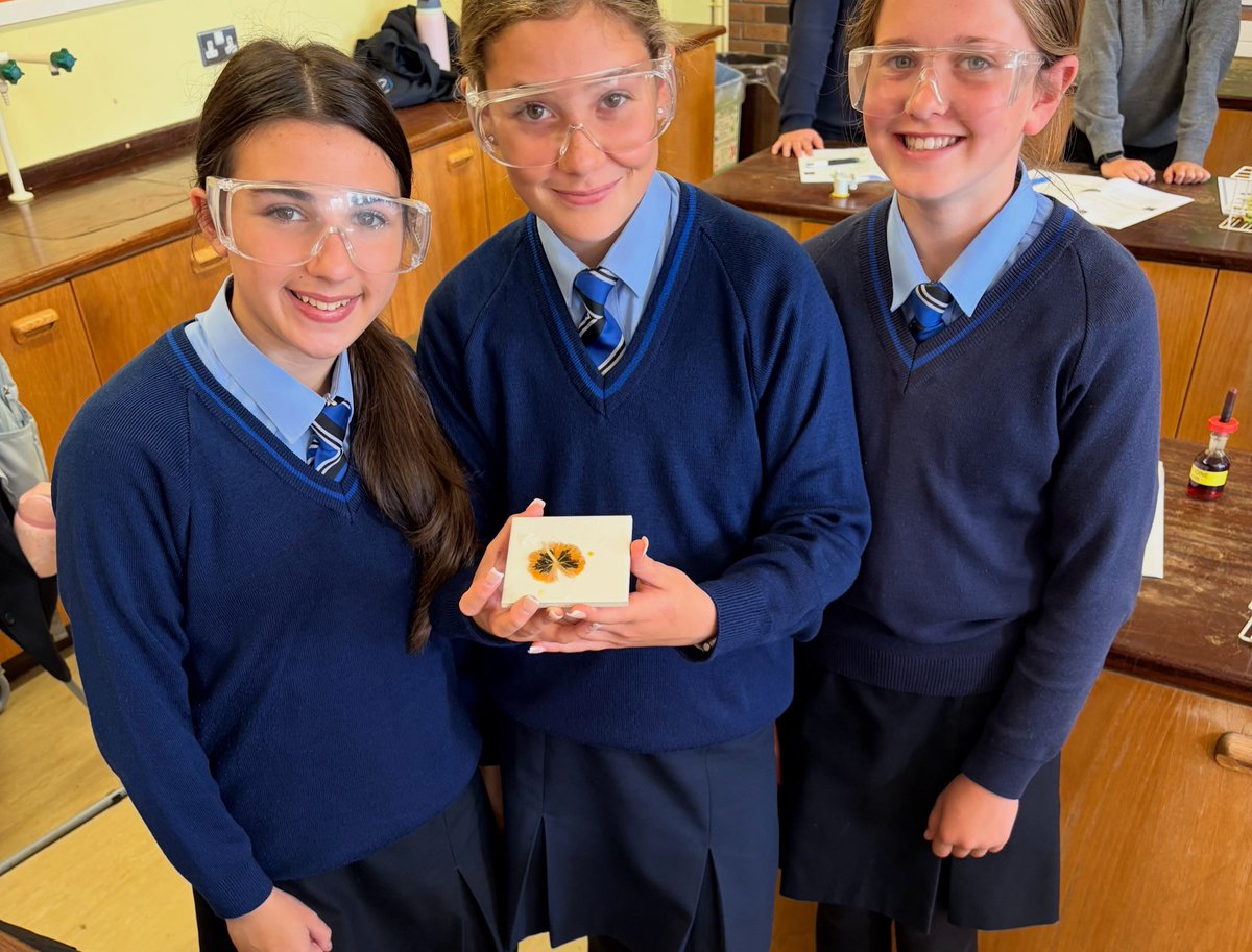 SPCScienceDept's tweet photo. Yr10 diving into the magic of photosynthesis — from light to leaf, they’re testing every step 🌱✨ @StPatsMaghera https://t.co/MnLfMrSUqt