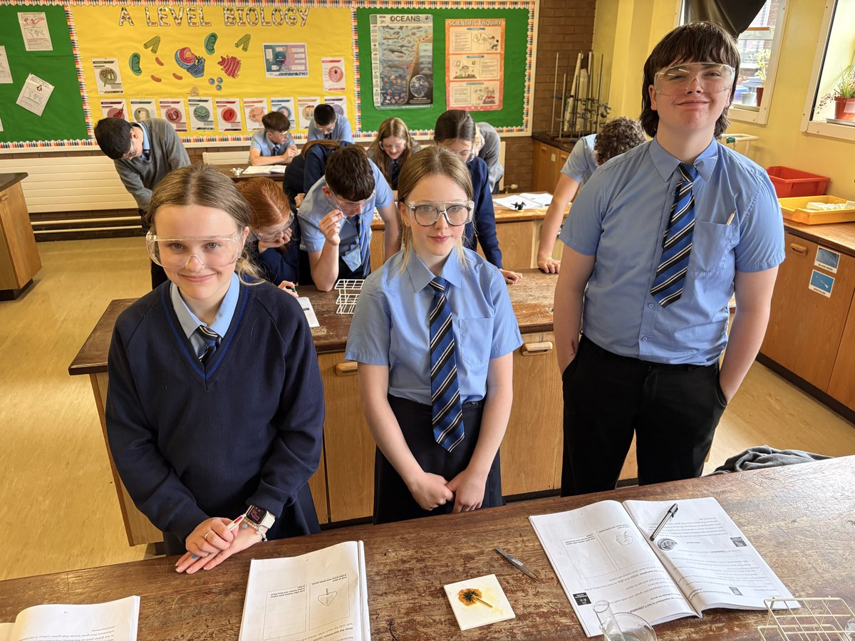 SPCScienceDept's tweet photo. Yr10 diving into the magic of photosynthesis — from light to leaf, they’re testing every step 🌱✨ @StPatsMaghera https://t.co/MnLfMrSUqt