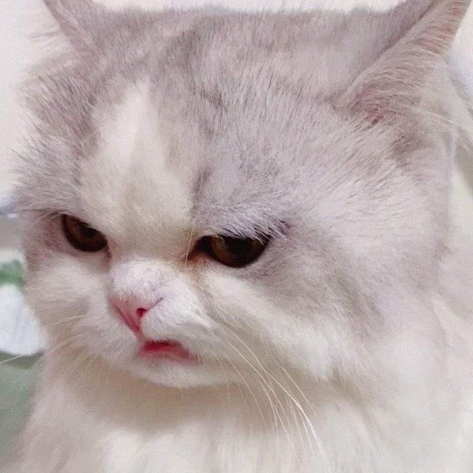 pee_pumkin's tweet photo. เนปเนปเปงแงว (ที่ชอบเล่นเฟสบุค เอนดุวมาก 55555555555)

#MingmingNepjune https://t.co/Vv8kZ6yxhp