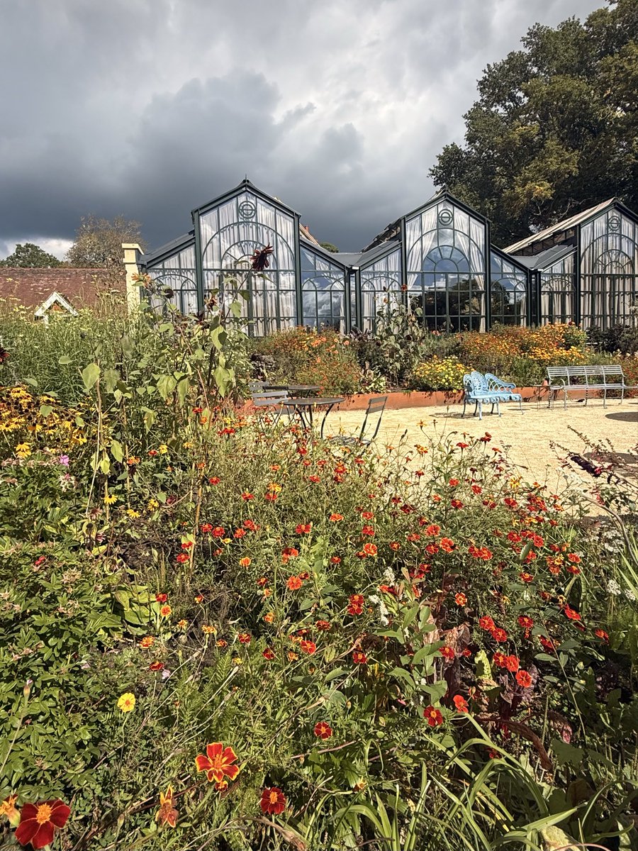 elenicclarke's tweet photo. There’s still plenty of colour in the Walled Garden @iscabordehill
#iscarestaurant #bordehillrestaurant #walledgarden #glasshouserestaurant https://t.co/6RrrlPtbli