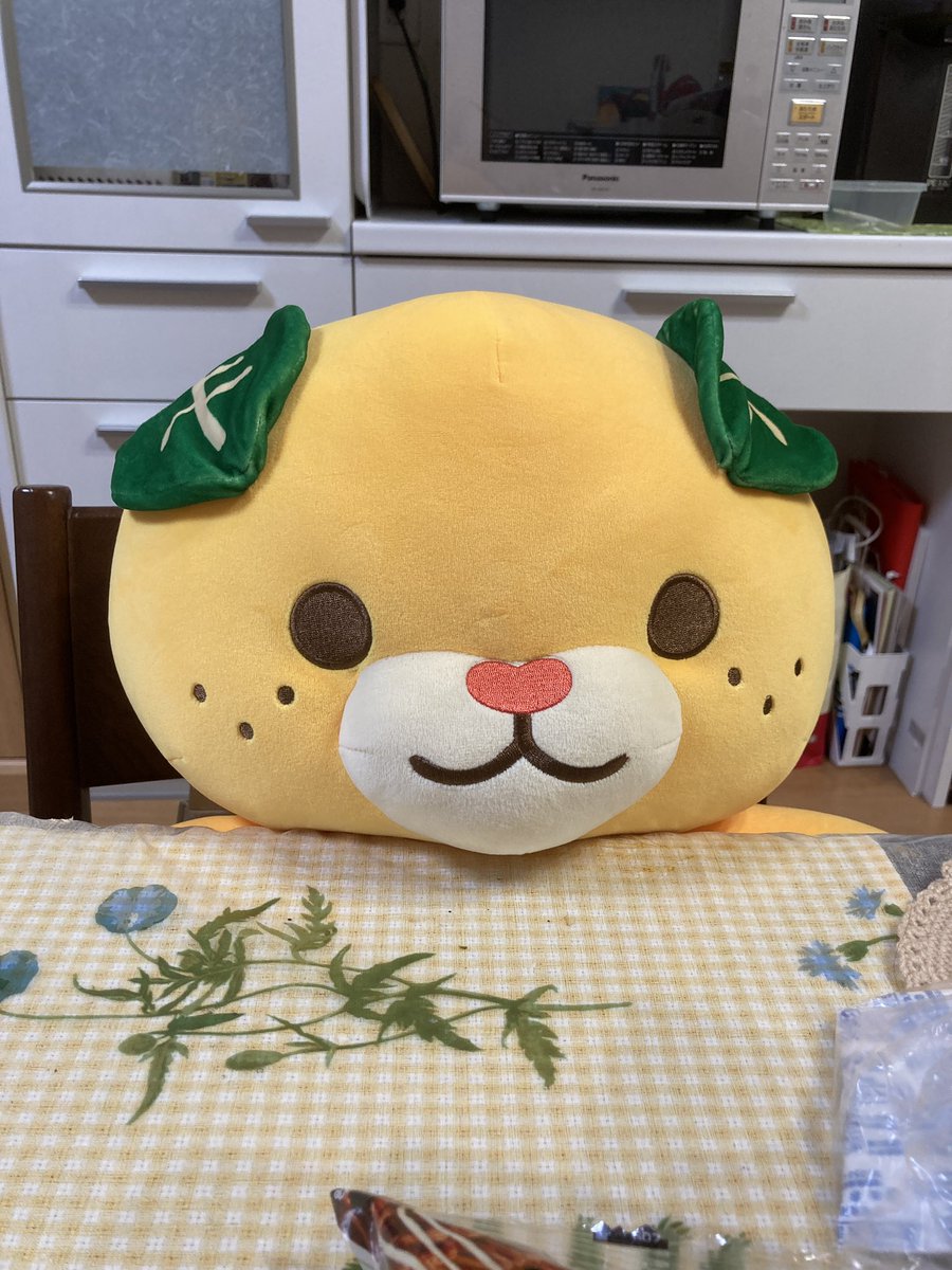 shimoyakebird's tweet photo. 我が家のアイドル(机汚いすまんな) https://t.co/NH5ejnMawR