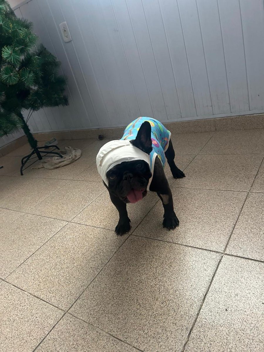 acervoppppets's tweet photo. kendra foster quando tava monorelha https://t.co/Gip64Zelfj