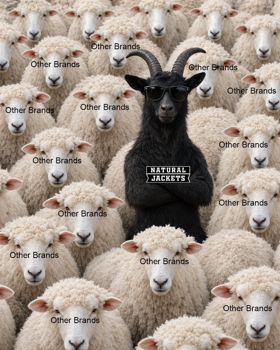 naturaljackets_'s tweet photo. Be the GOAT, not the flock. 🐐🧥

Natural Jackets, standout varsity styles for every team, every fan, every vibe. Custom patches, premium quality, made to be noticed.

#NaturalJackets #VarsityJacket #CustomJackets #GameDayStyle #StandOutStyle https://t.co/KbxbGqajlq