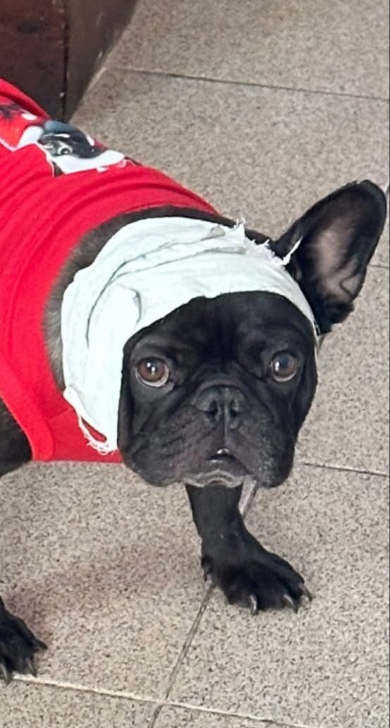 acervoppppets's tweet photo. kendra foster quando tava monorelha https://t.co/Gip64Zelfj